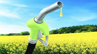 Changes Done in Biofuel Policy Ethanol Blending Target Advanced