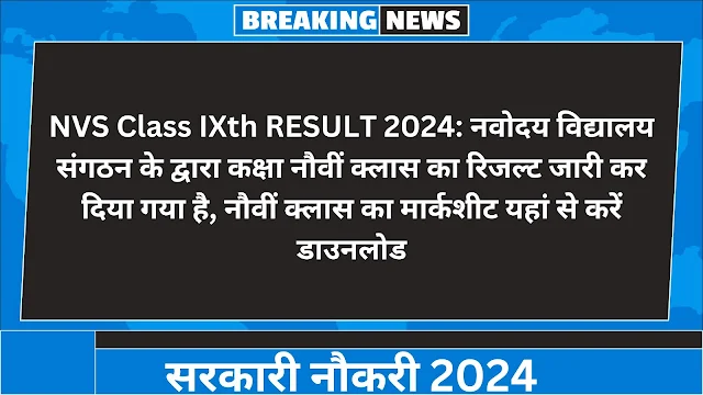 NVS Class IXth RESULT 2024