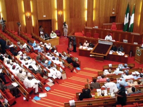 Senate moves to legalise lobbying in Nigeria