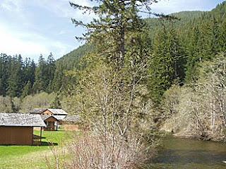 Vacation huts at Sol Duc Resort