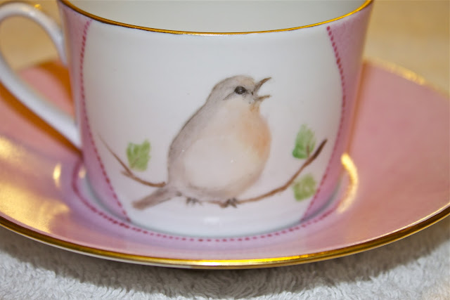 robin, bird, tea cup, porcelain, hand painted