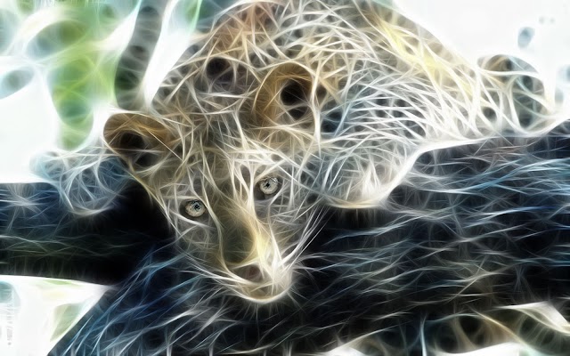 Animal Digital Art Wallpapers