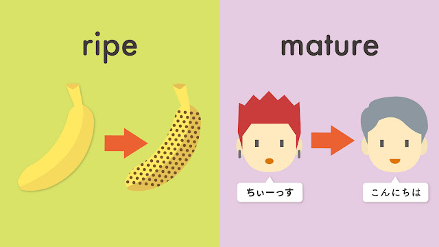 ripe と mature の違い