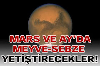 Mars ve Ay'da Meyve-Sebze Yetiştirecek!