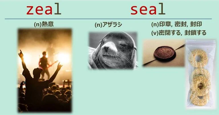 zeal, seal, スペルが似ている英単語