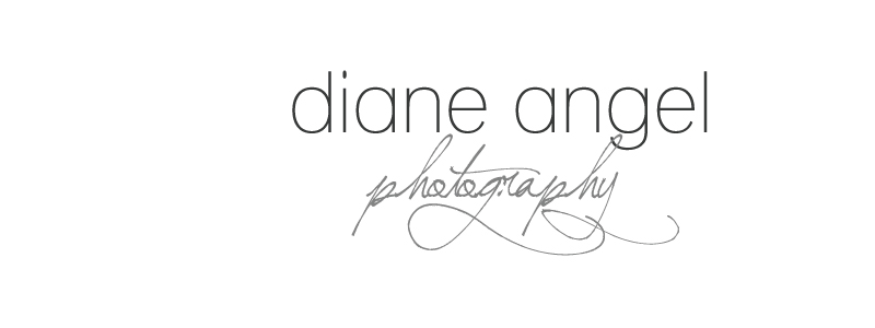Diane Angel Photography