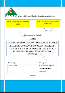 CONTRIBUTION DU CONTROLE BUDGETAIRE A LA PERFORMANCE D’UNE ENTREPRISE : CAS DE LA SOCIETE INDUSTRIELLE AGRO ALIMENTAIRE (SIAGRO-KIRENE) DU SENEGAL