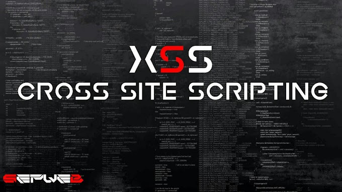 Cross Site Scripting – (XSS)