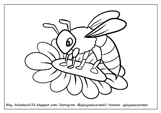 contoh lembar mewarnai tema serangga untuk anak PAUD/TK/SD