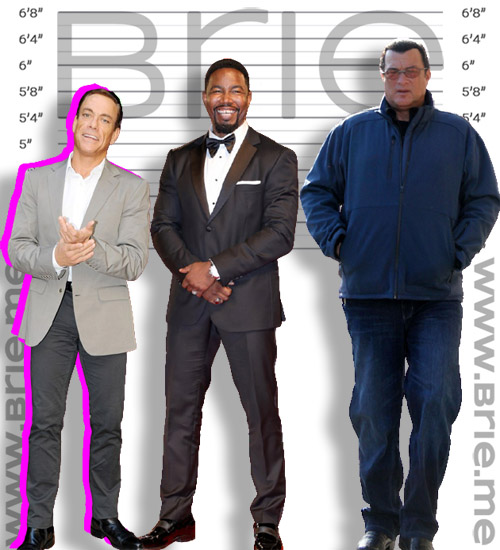 Jean-Claude Van Damme, Michael Jai White, and Steven Seagal height comparison