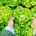 UPL leva eficiência em defesa vegetal e biossoluções à 27ª Hortitec