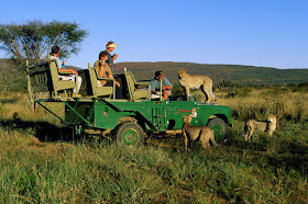 Okonjima Africat Otjiwarongo, Namibia