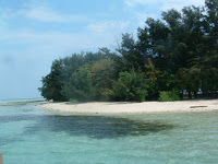 http://id.wikipedia.org/wiki/Berkas:Pulau_Semak_Daun.jpg