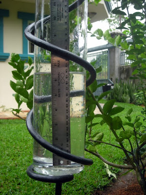 La Gringa's tropical-sized rain gauge, La Ceiba, Honduras