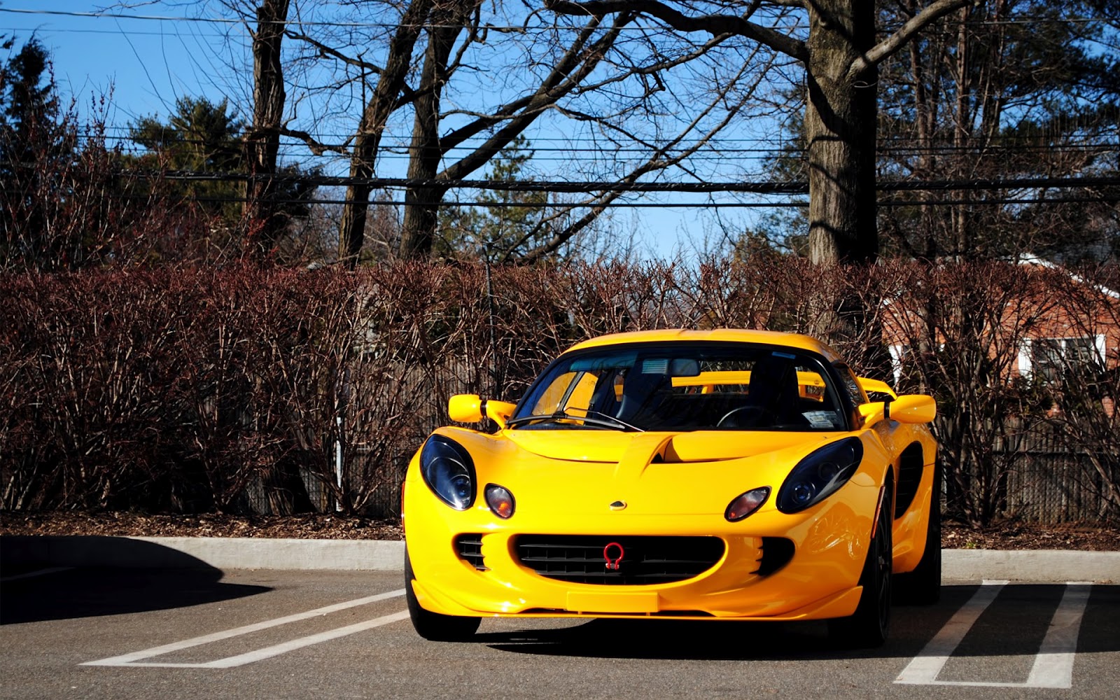 The most expensive cars : photo the most beautiful car in the world