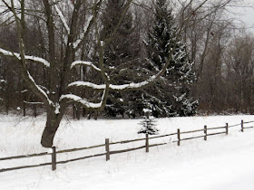 rail fence with snow