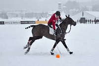 Snow Polo 