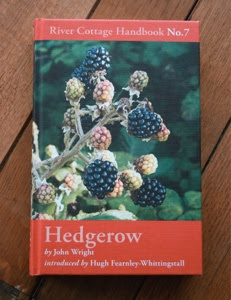 River Cottage Handbook No 7 book review