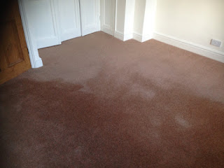 pile reversal on carpet, watermarks