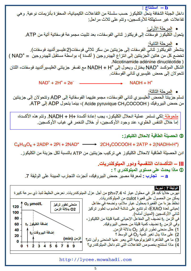 درس التفاعلات المسؤولة عن تحرير الطاقة الكامنة في المادة العضوية-11