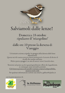 Salviamoli dalle lenze! Domenica 18 ottobre, Darsena Viareggio