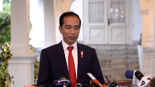 Bertemu PM Belanda, Jokowi Promosi Sawit RI
