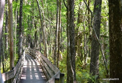 Boardwalk Trail