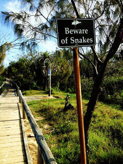 Funny Sign at Peregian Beach