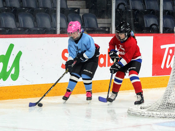 Girls Hockey, Youth Sport Photography / Photos, Halifax Nova Scotia, SportPix.ca