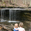 Settlers Cabin Park Trail Map - Pennsylvania Department Local History Allegheny County Parks - From the parking lot, head south at the trailhead and follow the green and blue blazed trail south until you hit a fork in the trail.