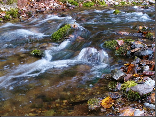 Rushing Water Photo by Here I Am/Carrie