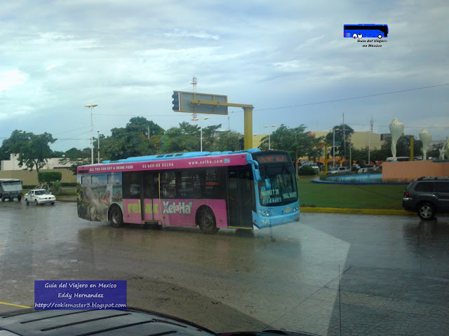 Autobus Urbano de Cancún
