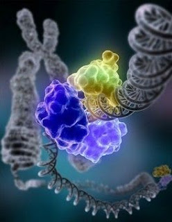 curing disease by repairing faulty genes,genes and diseases,repairing faulty genes cures disease