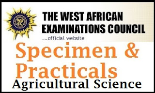 Image result for waec agric practical