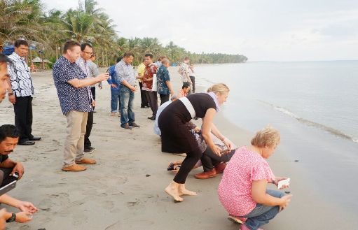 Sekda Selayar Bersama Tim CCRES, Lepas Puluhan Ekor Tukik Penyu