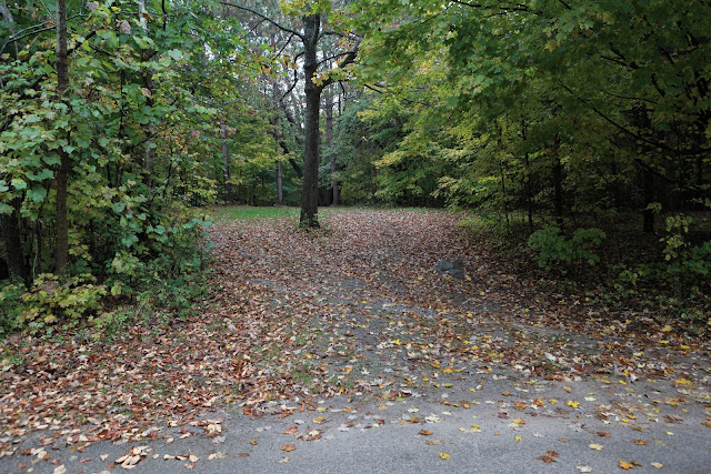 Charleston Lake Ontario Provincial Park, site 303
