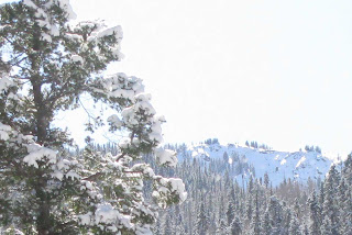 The Famous Stauffenberg at Taos Ski Valley in the distance