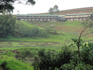 Ooty Avalanche