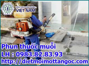 diệt mối tận gốc