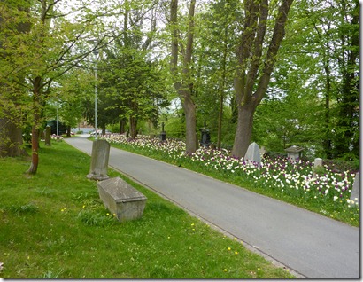 Rosengärtchen (4)