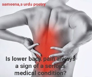 BACK PAIN LOWER RELIFE 2023