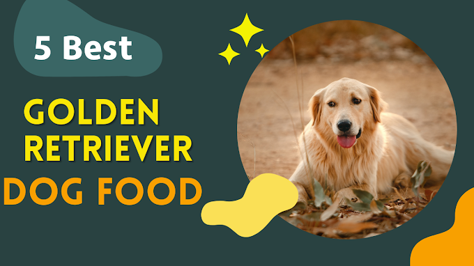 Top 5 Best Dog Food For Golden Retriever In India