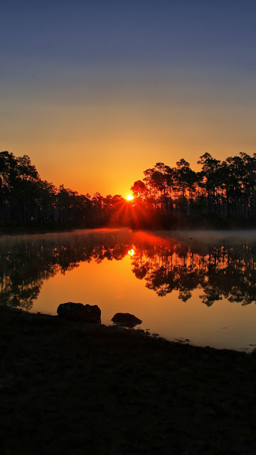 Sunset, Lake, Nature, Rays, Trees, Florida