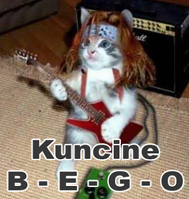 kucing lucu bermain gitar