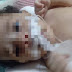 Recém-nascido morre após ter leite injetado na veia, em Salvador 