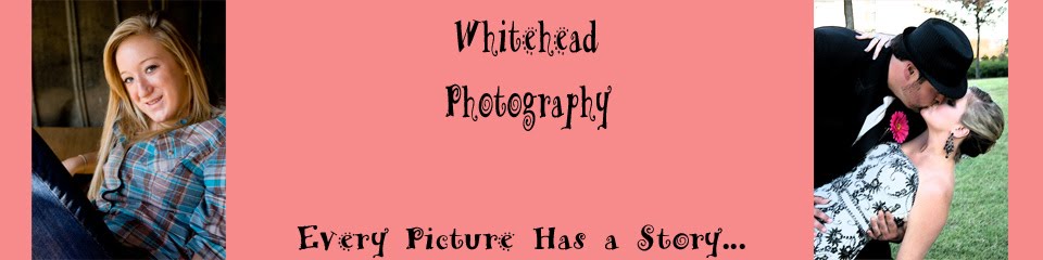 Whitehead Photography