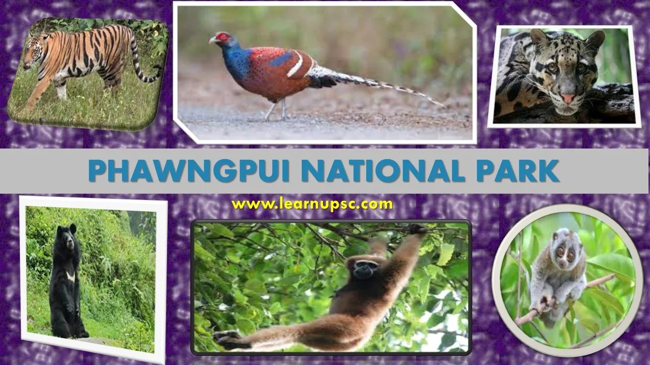 Phawngpui National Park