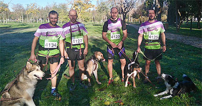 CD Mushing Aranjuez Canicross