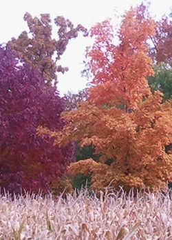 2012-10-01 11.45.41