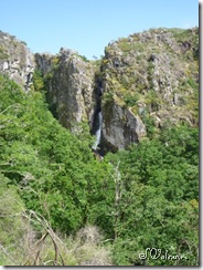 P1020481